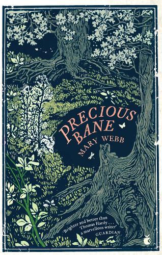 Precious Bane - Virago Modern Classics (Paperback)
