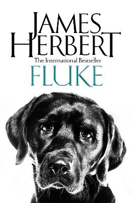 Fluke (Paperback)