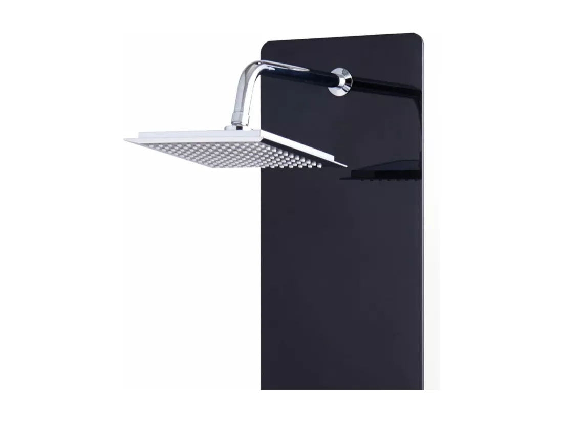 Panneau de douche pomme argenté 25 x 44.6 x 130 cm 02_0003435