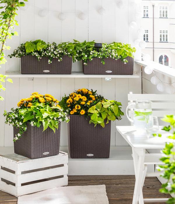LECHUZA® Kunststoff-Topf Cube Cottage,