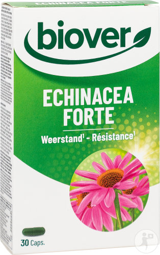Biover Echinacea Forte Résistance 30 Capsules