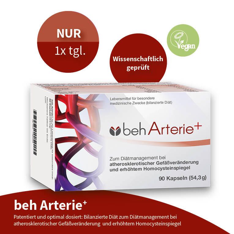 beh Arterie+