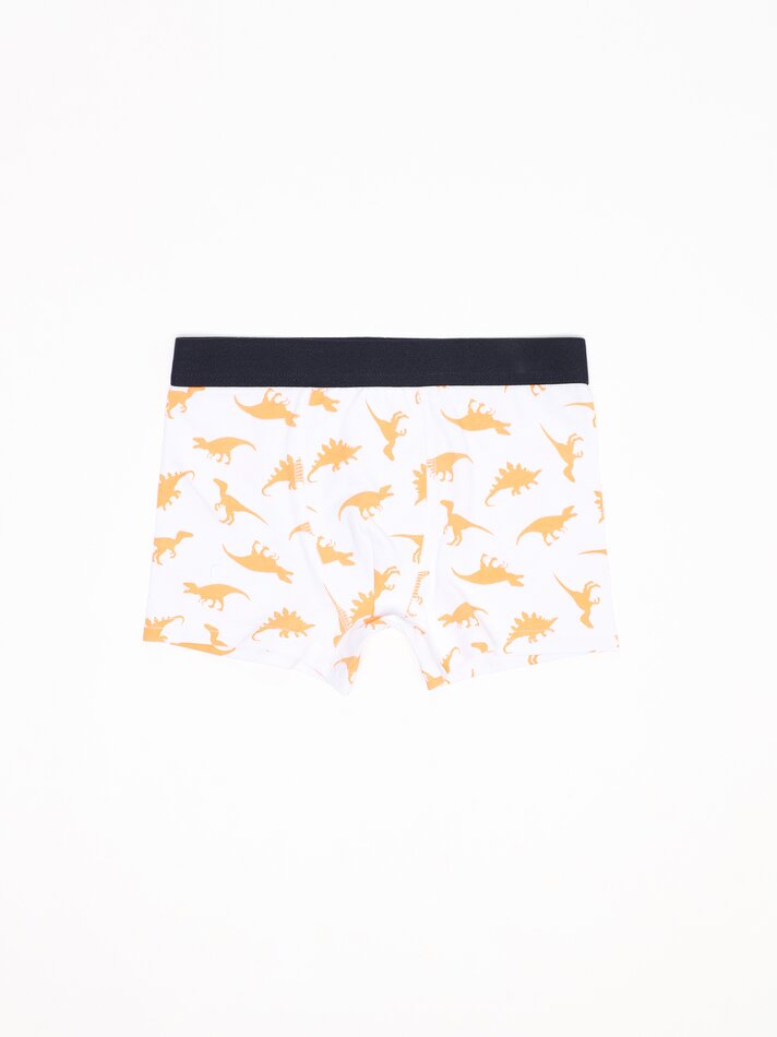 Pacote com 7 cuecas boxer estampadas - Cores Variadas