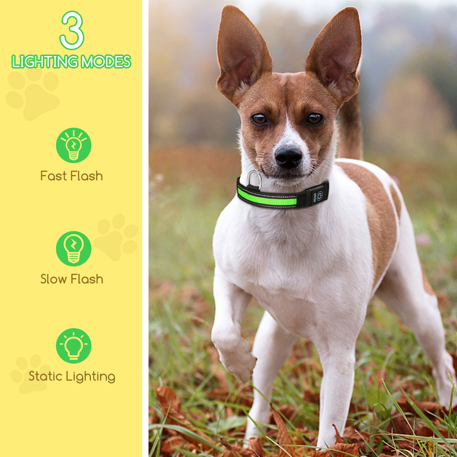 Nobleza - Kit com 2 Coleiras LED para Cães, Coleira Iluminada para Cães de Estimação com 3 Modos de Iluminação, Recarregável e à Prova d'Água, Coleiras LED Ajustáveis para Cães de Pequeno e Médio Porte