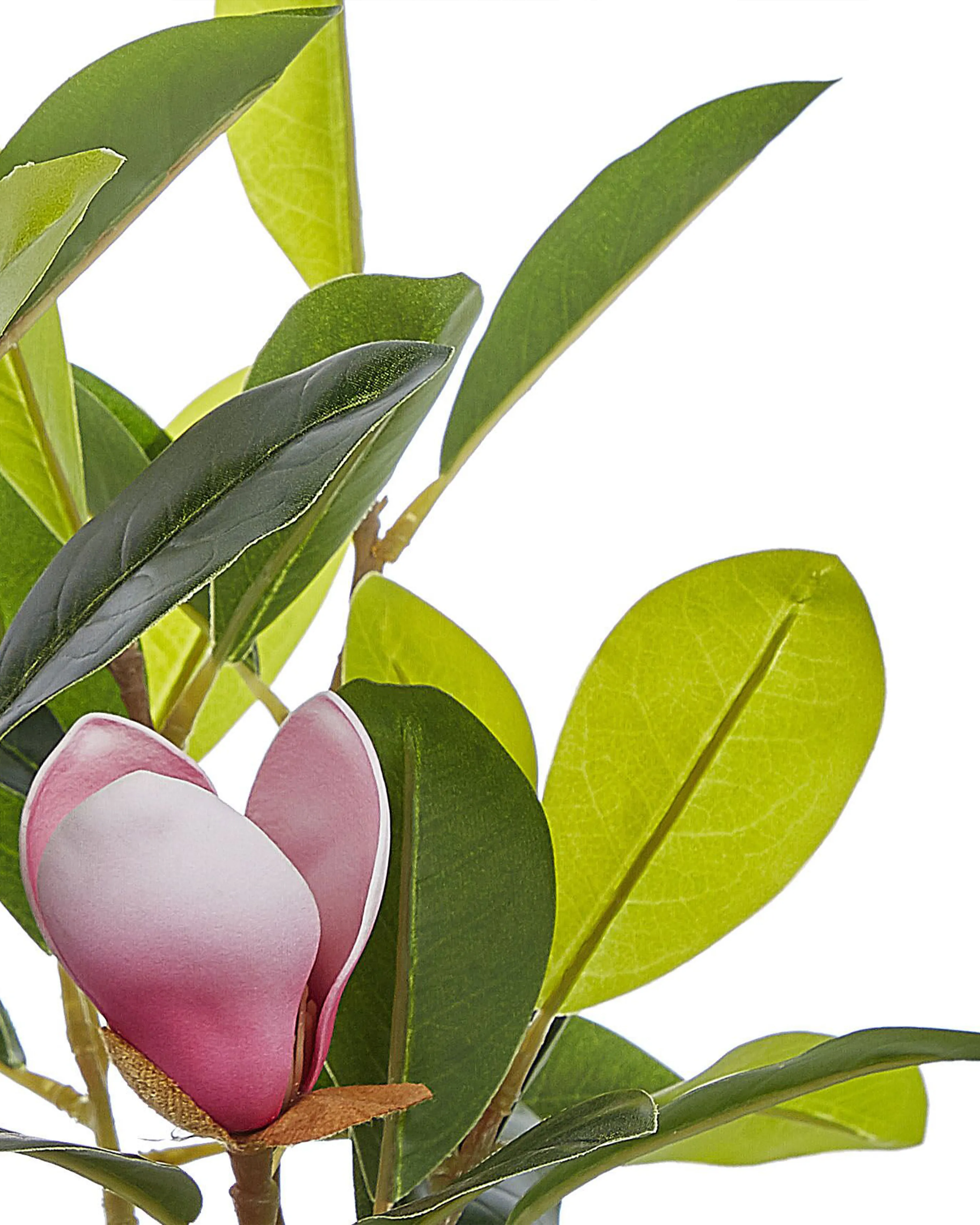 Kunstplant MAGNOLIA 70 cm Groen