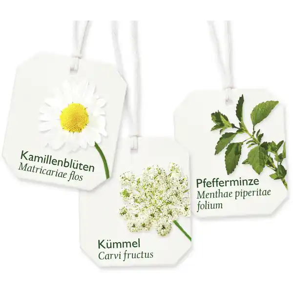 Magen- und Darm Tee