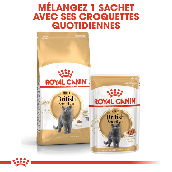 Croquettes chat British ShortHair Adulte + de 12 mois 2kg