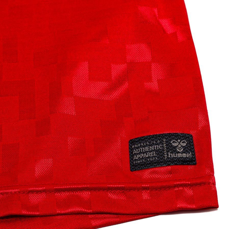 Danemark Maillot Domicile 2024/25