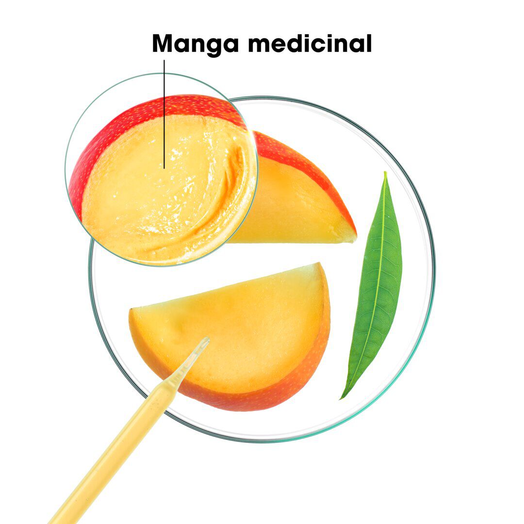 KLORANE  Condicionador Manga - 50ml