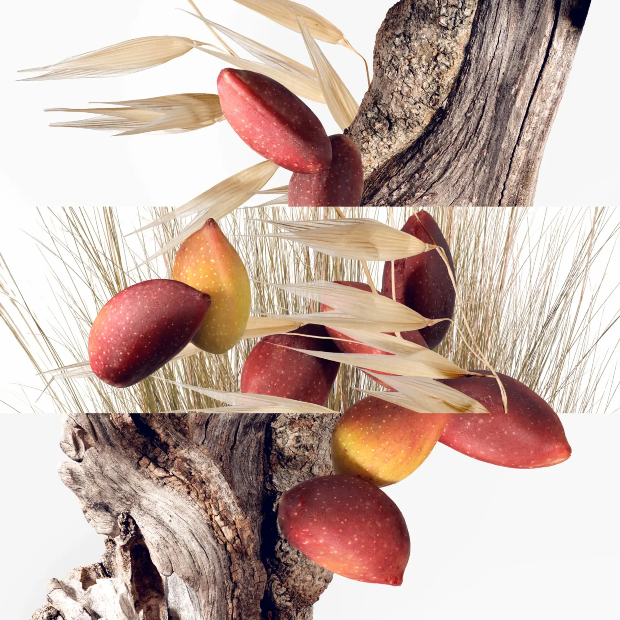 Hermès - Un jardin à Cythère Eau de Toilette- Eau de toilette