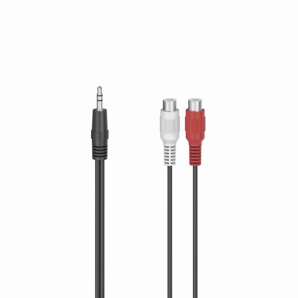 Hama 00205185 audio kabel 0,1 m 2 x RCA 3.5mm Zwart