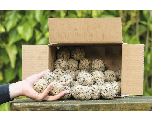 CJ Wildlife Premium Suet Balls, 50 stuks. Het hele jaar door geschikt voor vogels.