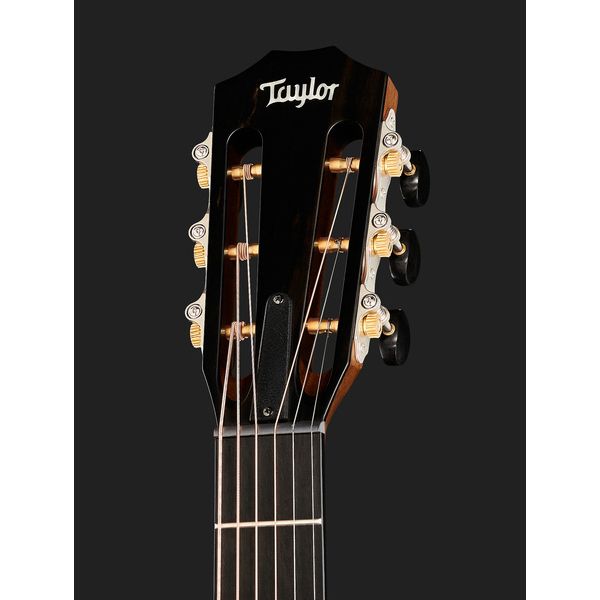 Taylor 312Ce-12Fret-V-Class