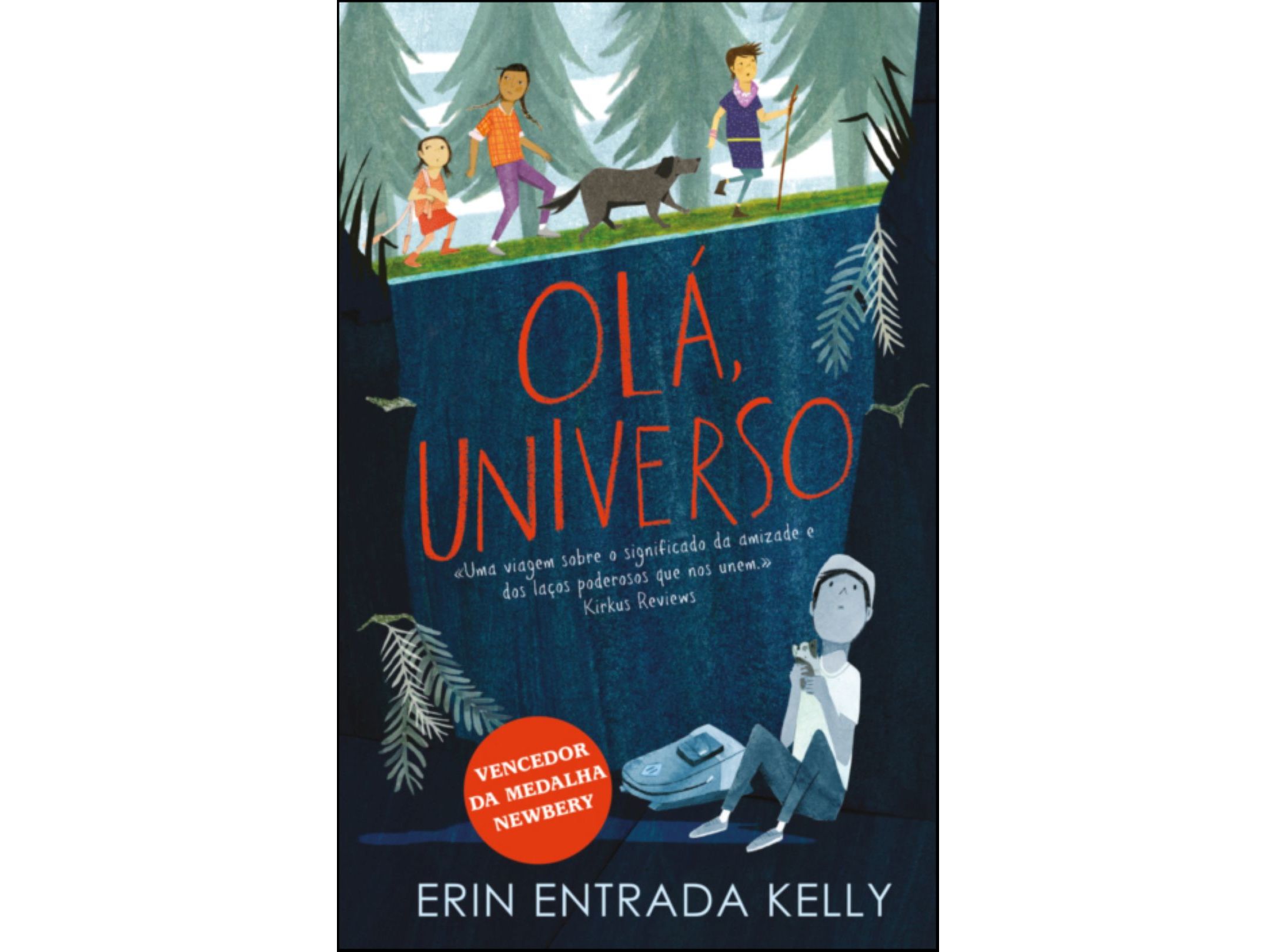 LIVRO OLÃ UNIVERSO