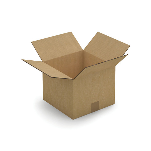 Caisse carton brune double cannelure RAJA 25x25x25 cm, lot de 15