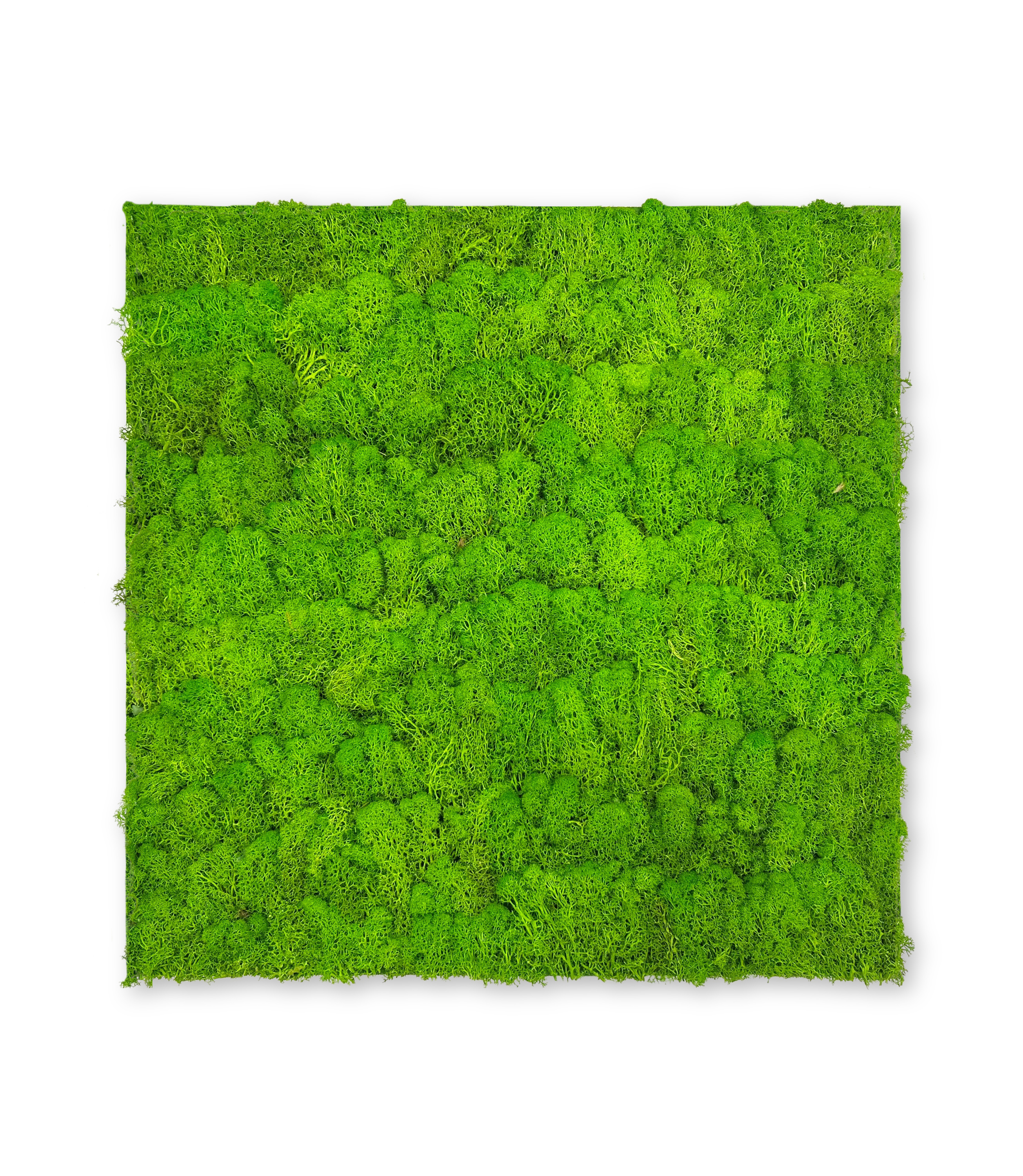 Wandpaneel MODULAR WALL