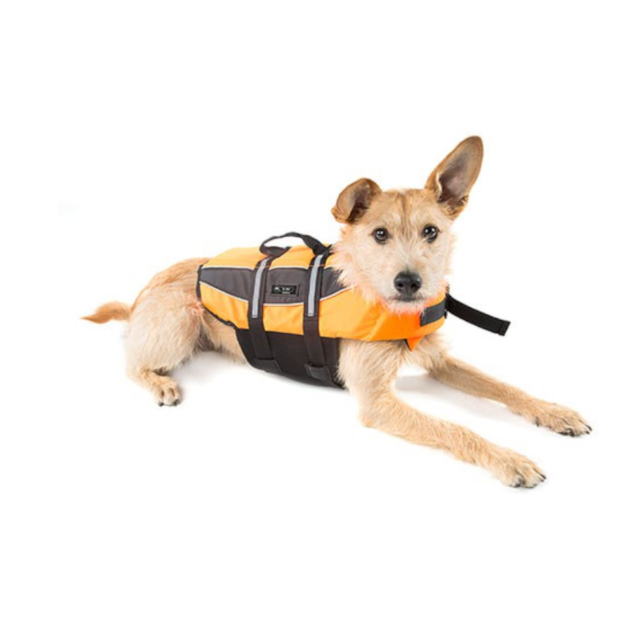 Colete salva-vidas laranja para cães da raça Pyrenees da TK-Pet