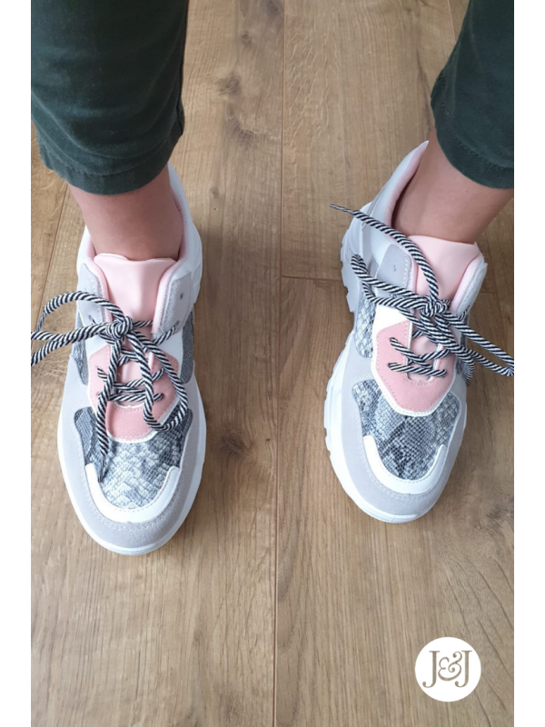 Baskets python rose 'Beth'