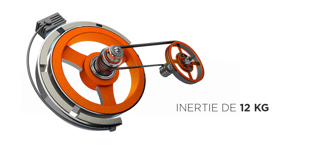 FITNESS DOCTOR Dragon III