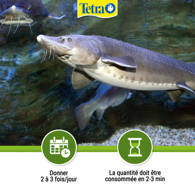 Alimentation Tetra Pond Sterlet Sticks pour poissons de bassin