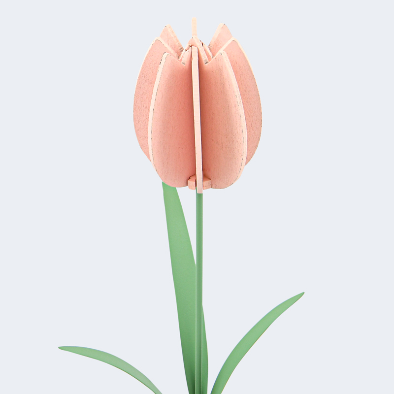 Tulipe décorative rose