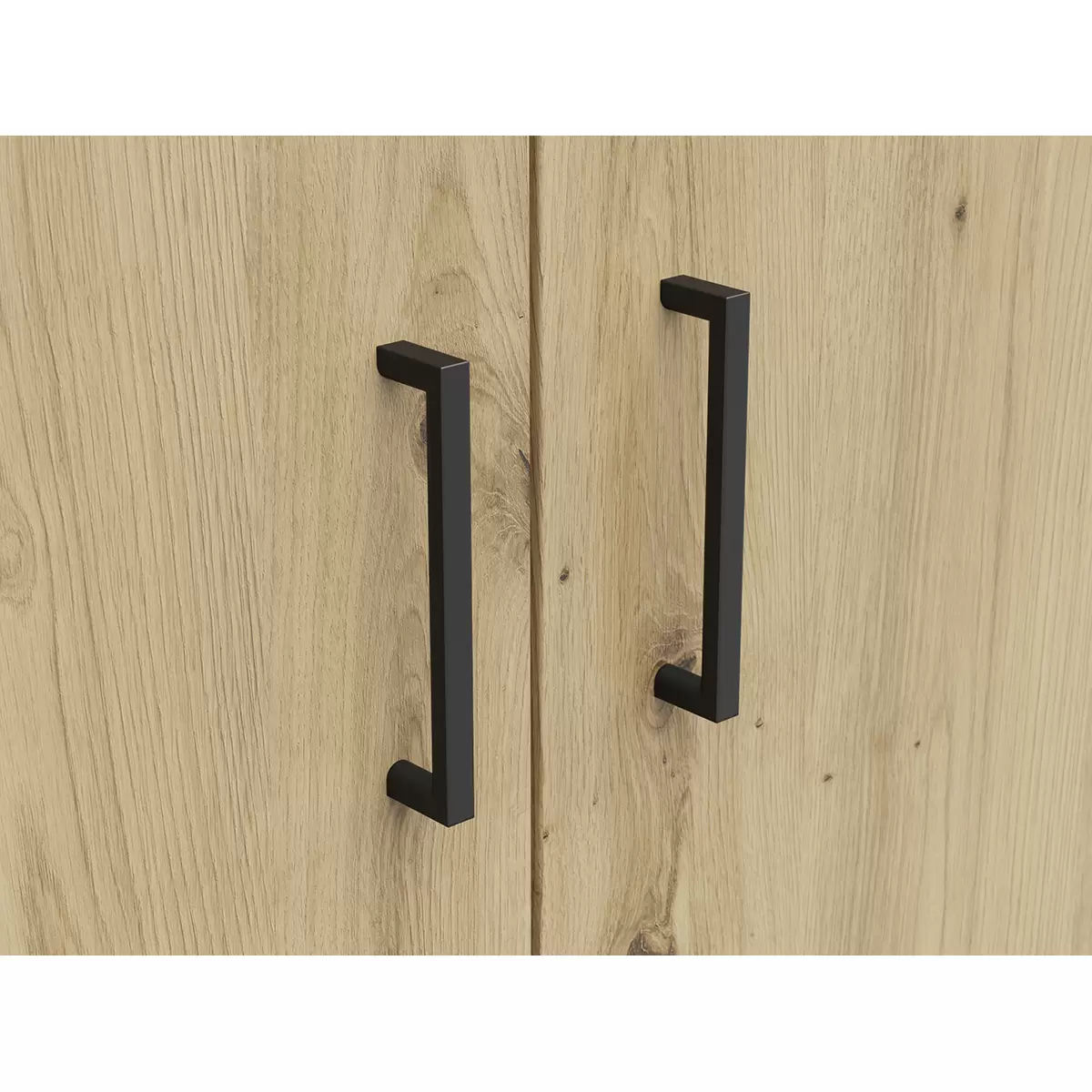 Drehtürenschrank 2T Cabinet Artisan Eiche