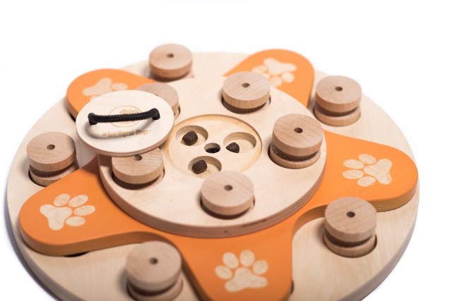 Jogo de Inteligência do Cão Florido