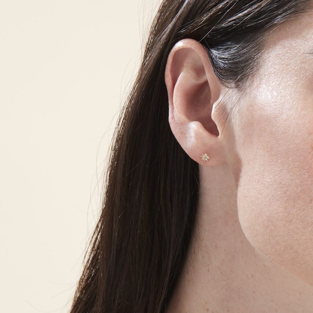 Boucles D'oreilles Puces Aubepine Or Jaune Oxyde