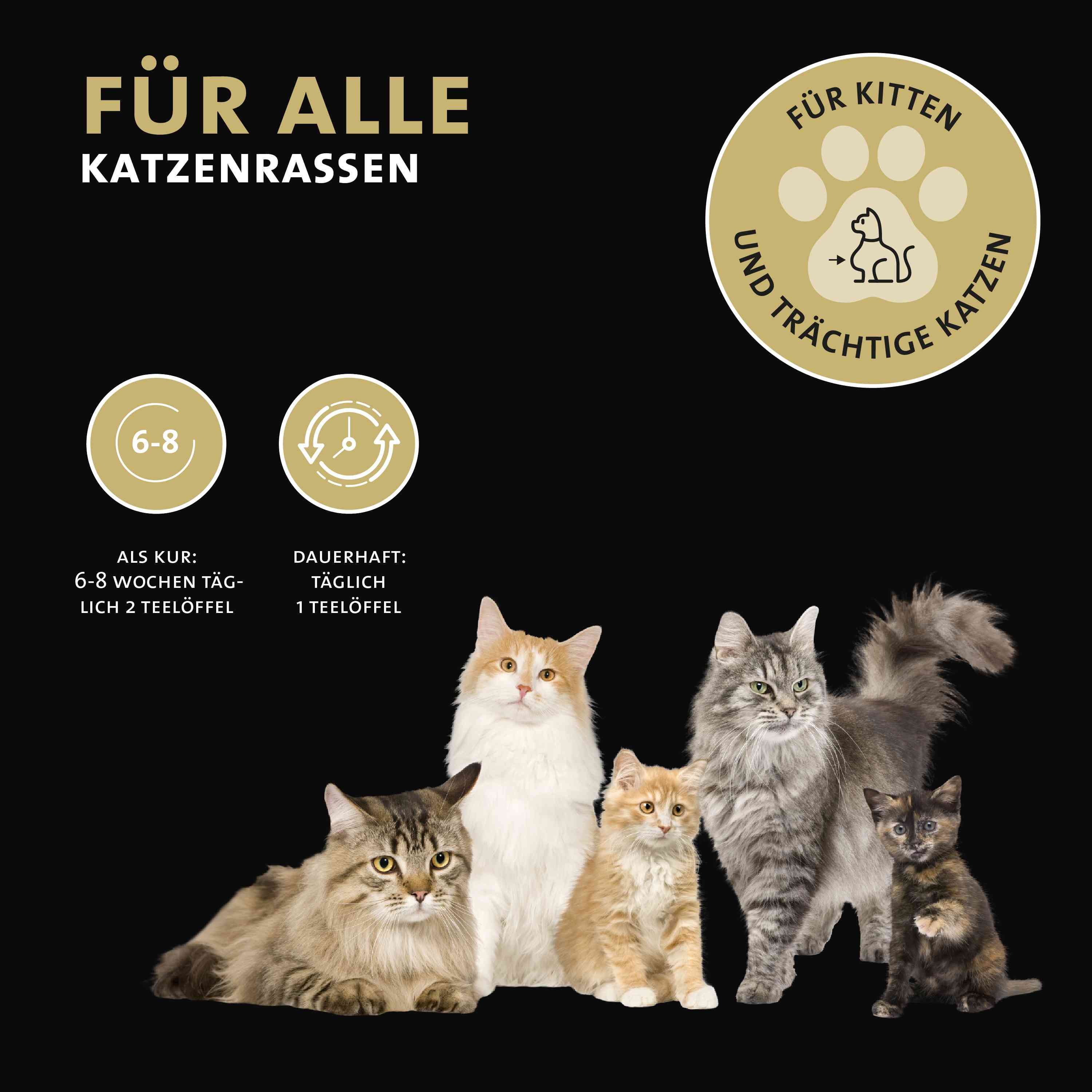 Peticare Gelenke Pulver-Mix für Katzen