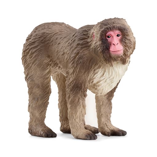 Schleich Japansk Makak-Abe