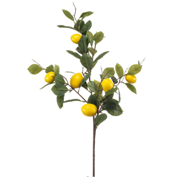 Lemon fruit spray 95cm