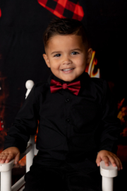 Bow tie - bordeaux