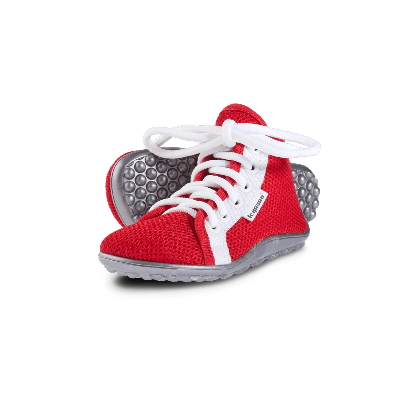 leguanito aktiv plus rot