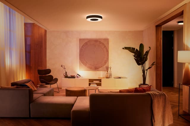 Philips Hue Infuse L loftslys (sort)