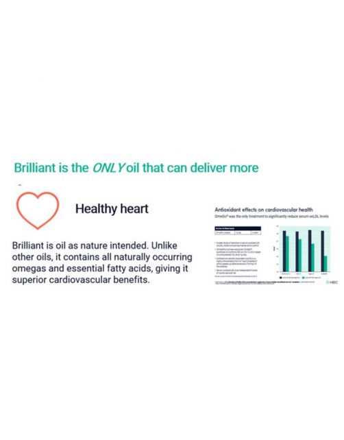Brilliant Salmon Oil Original - Voedingssupplement - Huid - Vacht