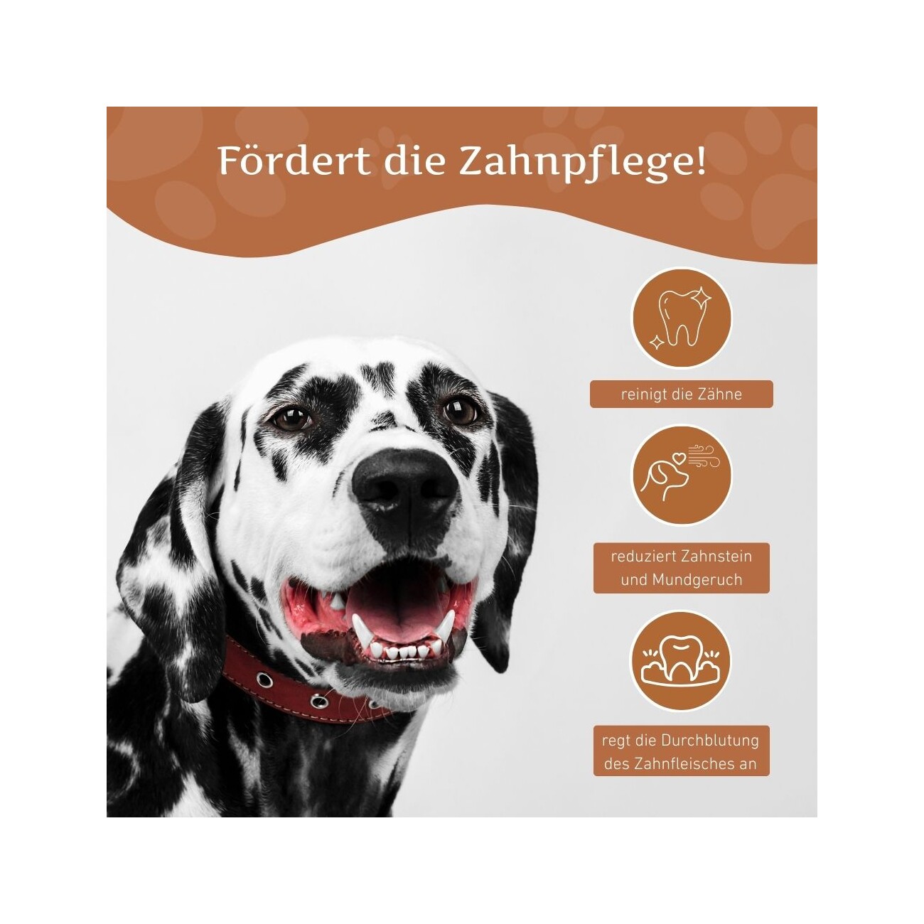 Wildfang ® Kaffeeholz Kaustab mit Lachsöl 1 S