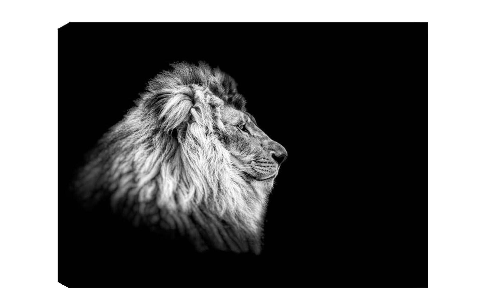 Bild Löwe 50 x 70 cmDekorative Leinwandmalerei