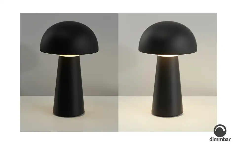 LED Tischleuchte, 1-flammig