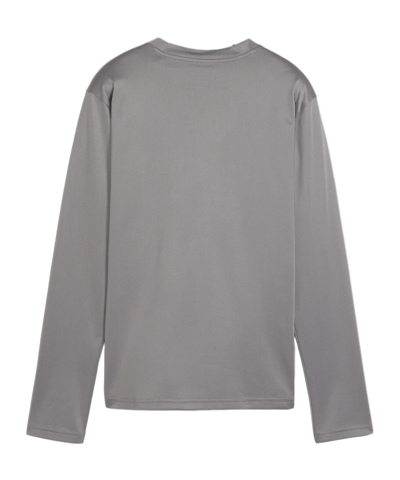 PUMA teamGOAL Training Sweatshirt Damen Grau F13