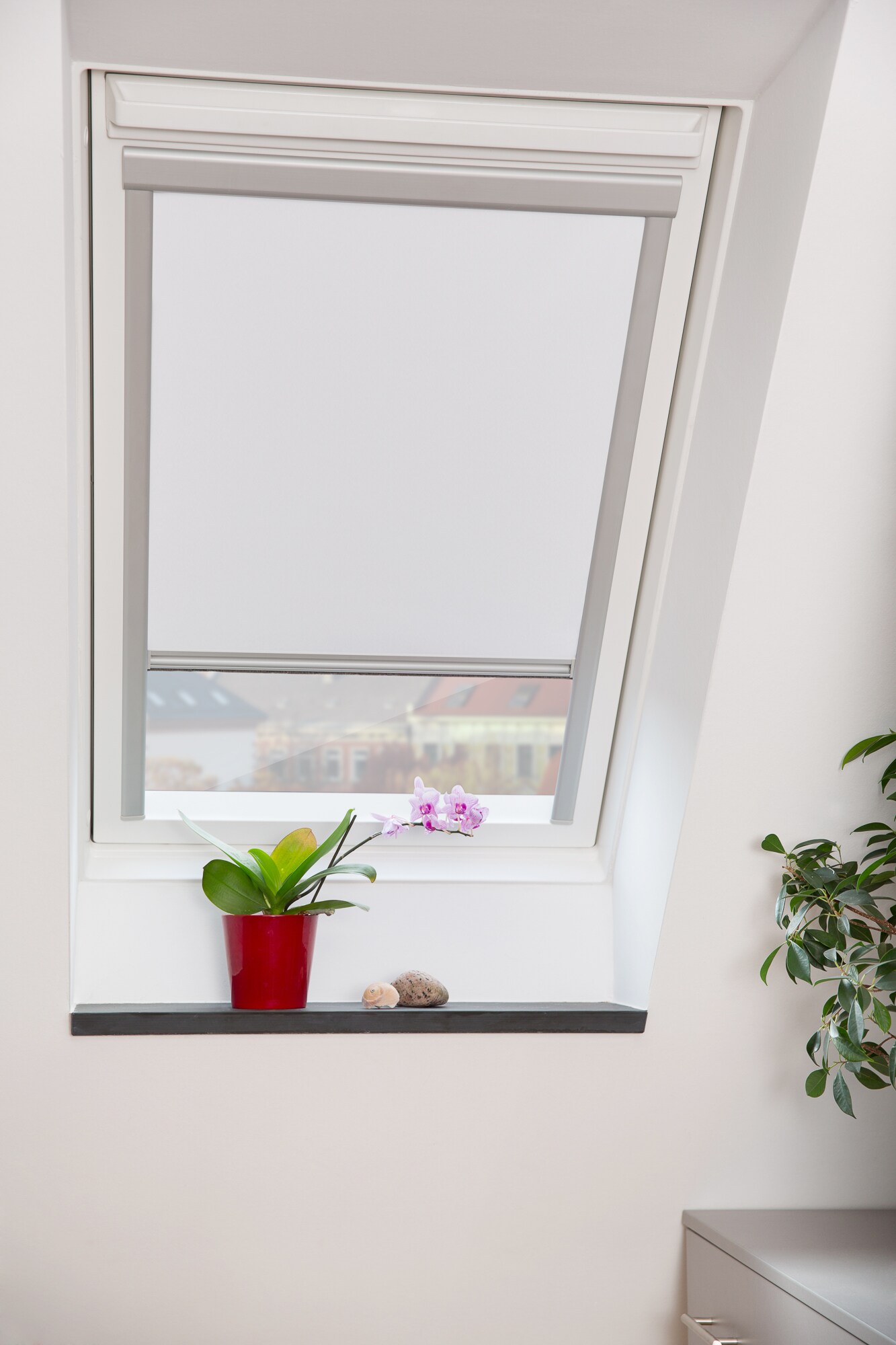 Lichtblick Dachfensterrollo Skylight, Thermo, Verdunkelung