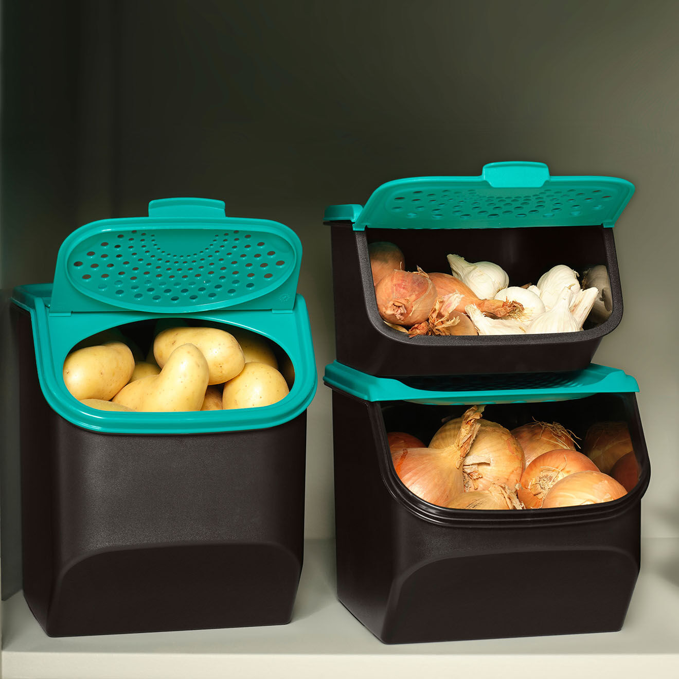 Tupperware Coffre à fruits et légumes noir/couvercle vert - 2.3L