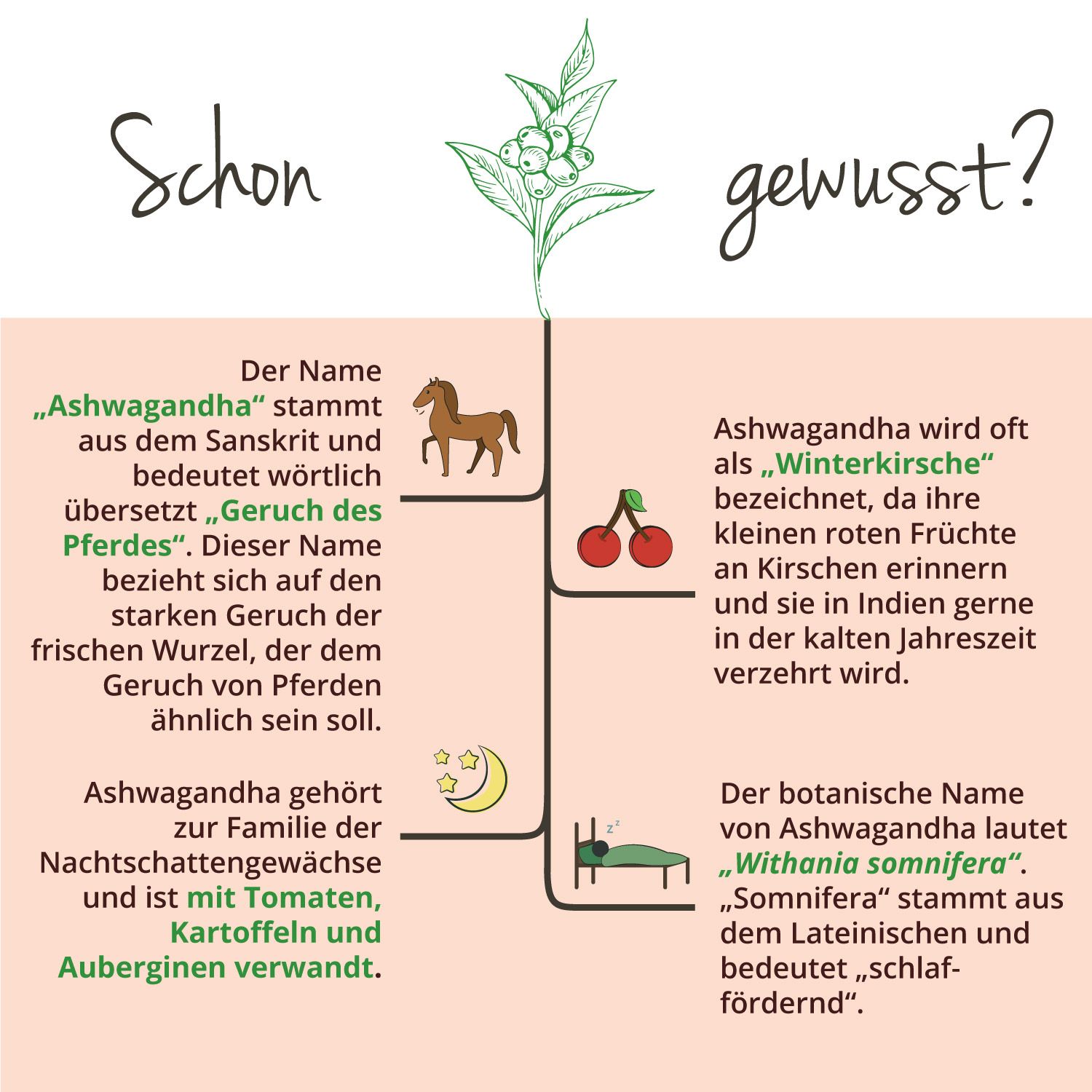 VEGAVERO Ashwagandha BIO