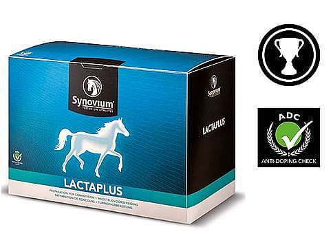 Synovium Lactaplus 6 x 40 gram sachets