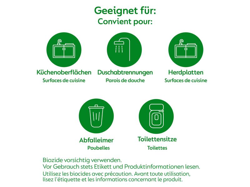 Dettol Allzweckreiniger Spray Grapefruit 0.5 l Reinigungsspray mit Grapefruitduft für eine hygienische Reinigung