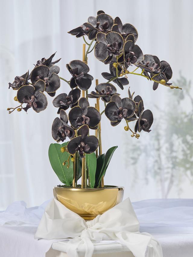 Phalaenopsis in Keramikschale gold 20x9cm
