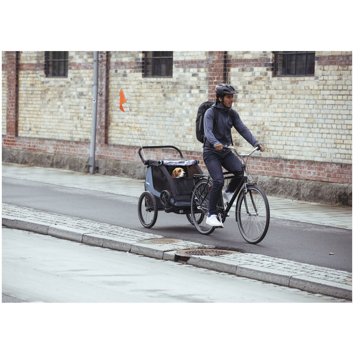 THULETHULE   Hundeset zu Courier