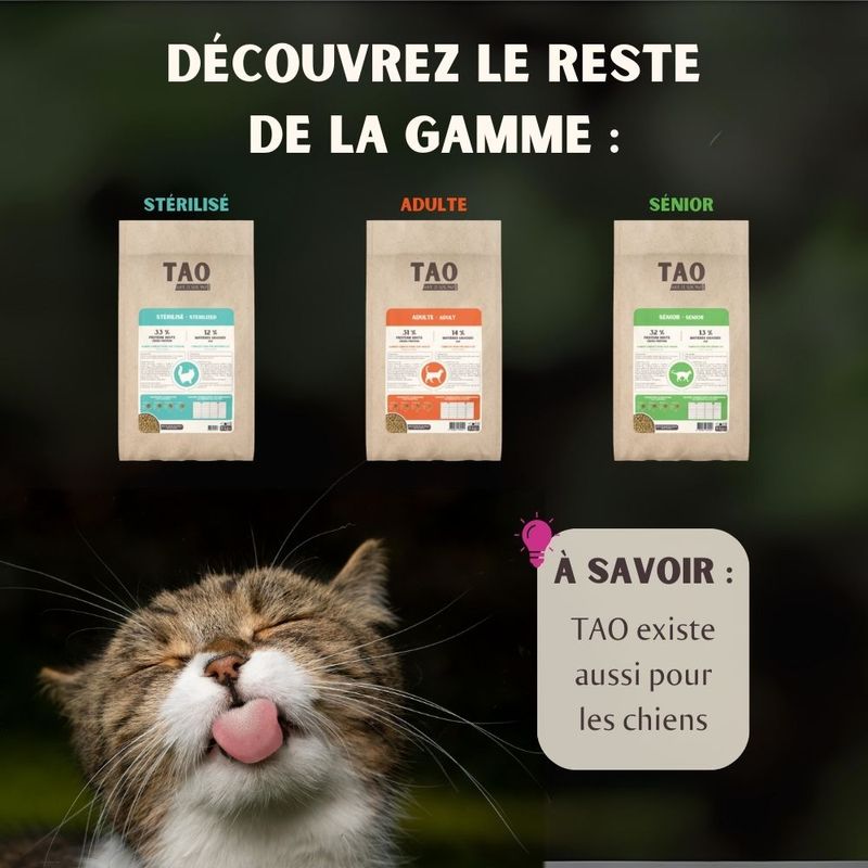 Nutrivet TAO Kitten poulet pour chaton