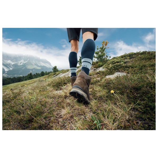 Falke - TK Compression - Chaussettes de randonnée