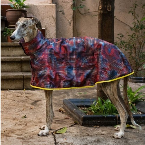 Capa de chuva Groc Groc Aldo para galgos