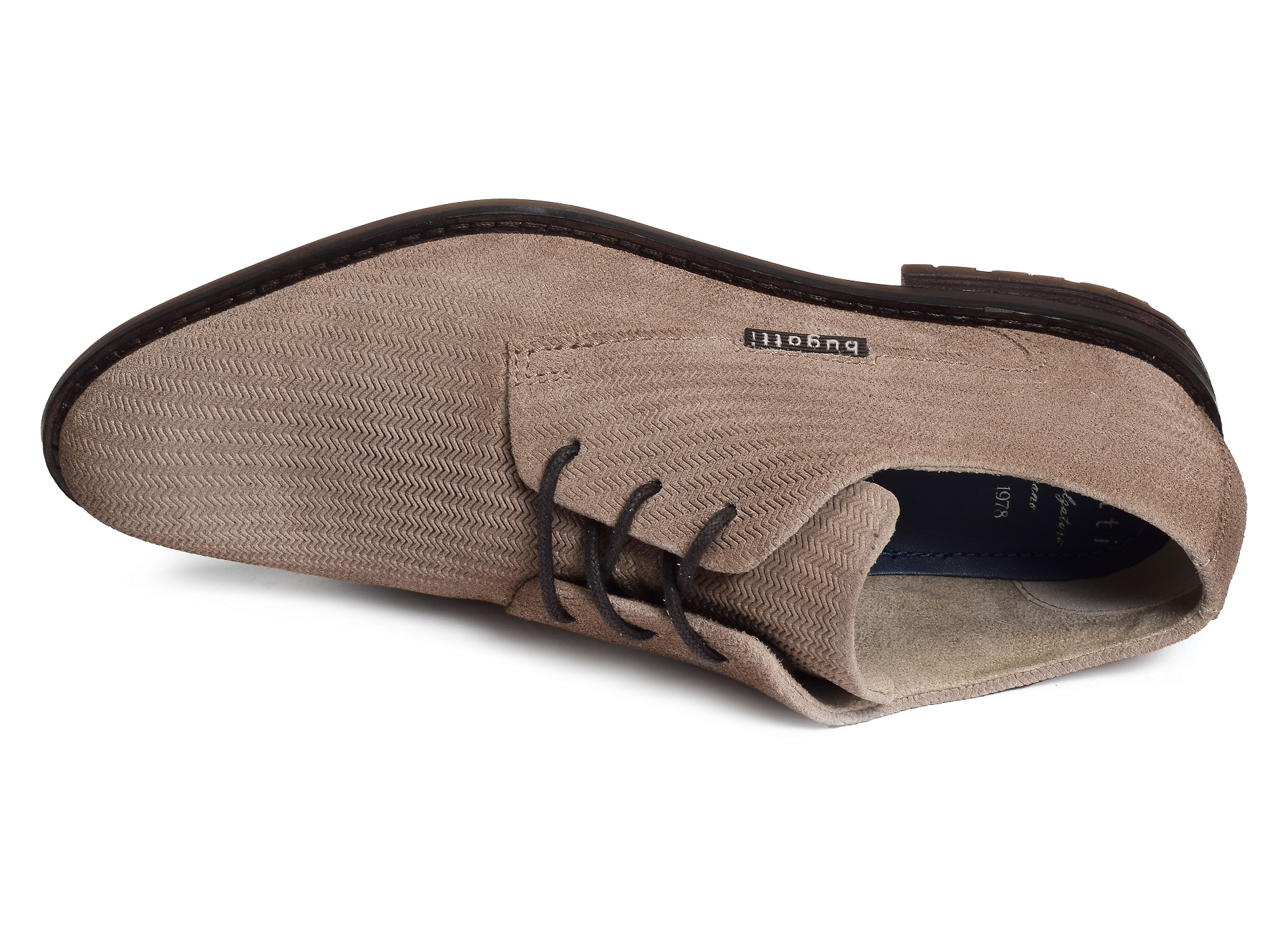Zanerio aeq01 beige